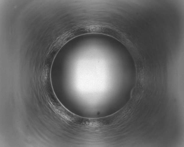 X0000086250645200703291408