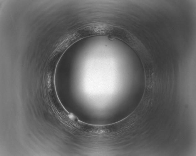 X0000086250646200703291408