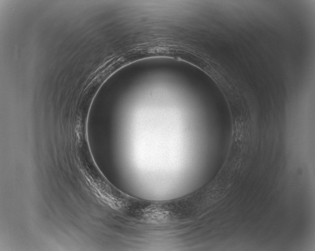 X0000086250648200703291408