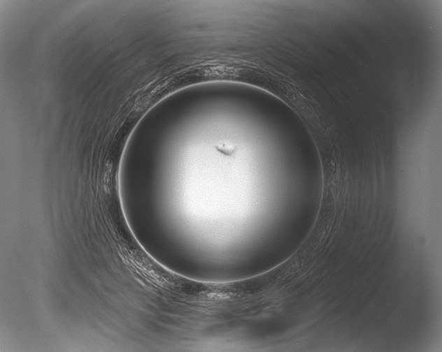 X0000086250649200703291408