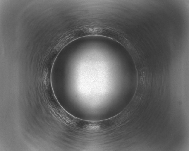 X0000086250651200703291408