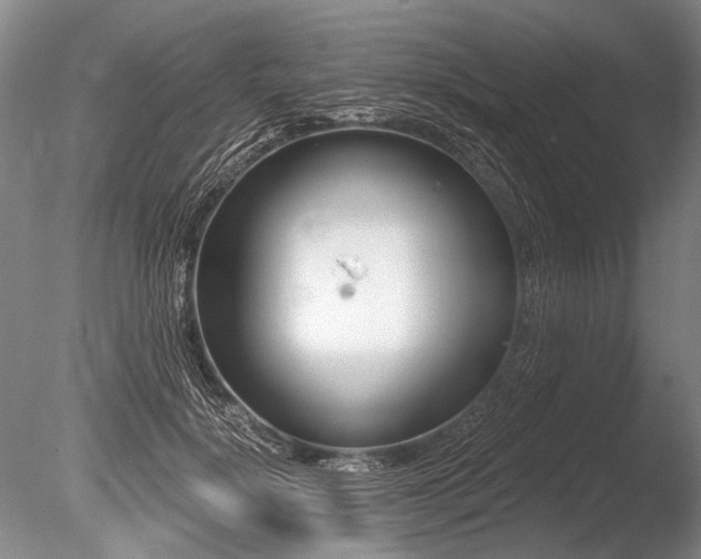X0000086250652200703291408