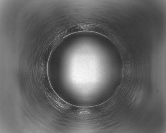 X0000086250653200703291408