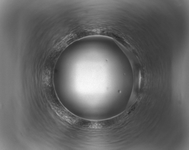 X0000086250656200703291408