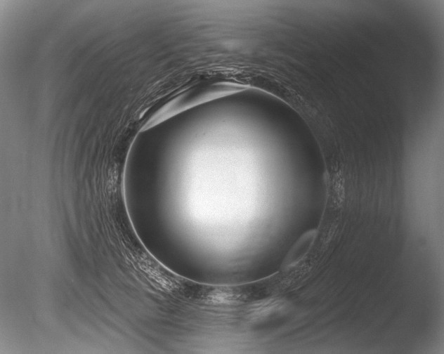 X0000086250657200703291408