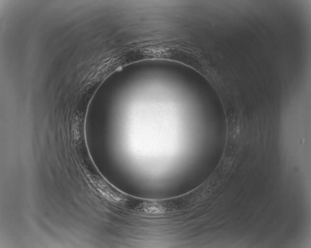 X0000086250658200703291408