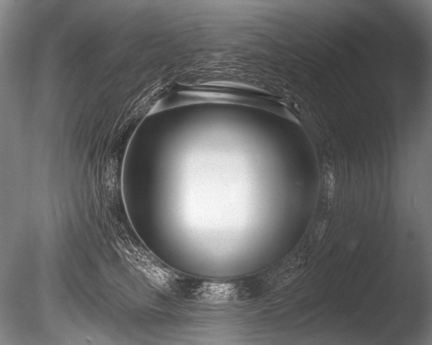 X0000086250665200703291408