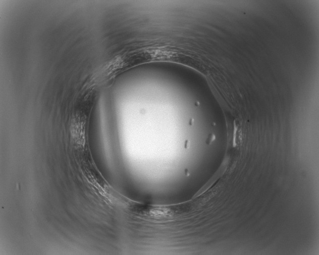 X0000086250666200703291408