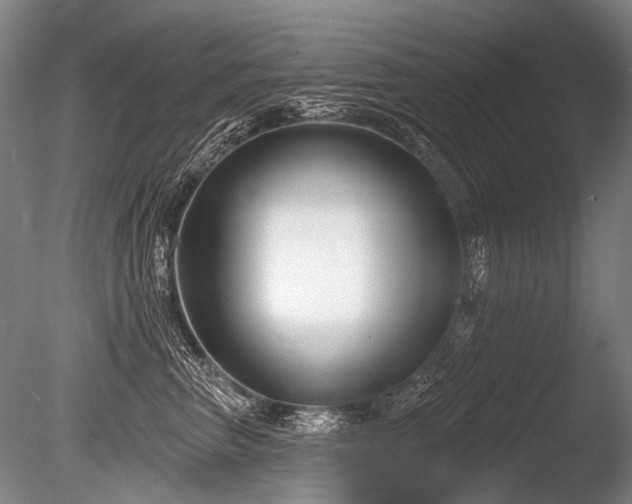 X0000086250667200703291408