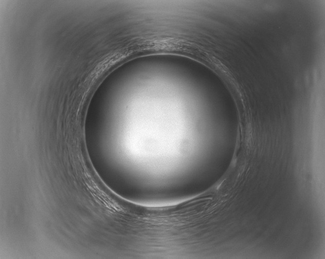 X0000086250673200703291407