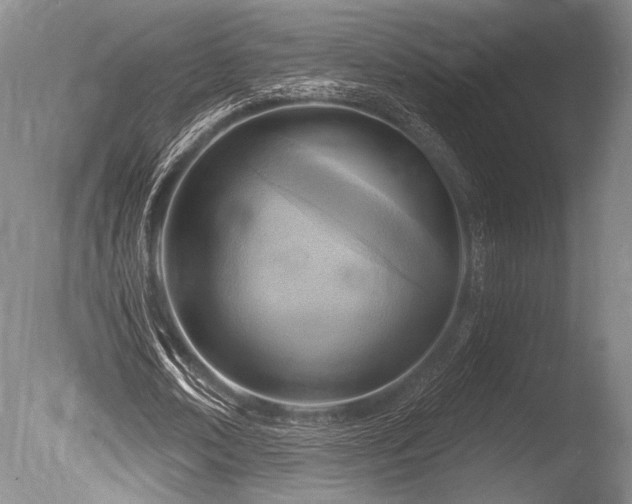X0000086250674200703291407