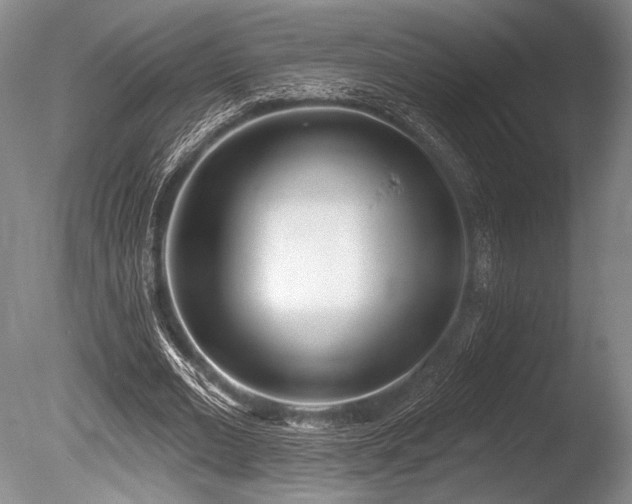 X0000086250677200703291407