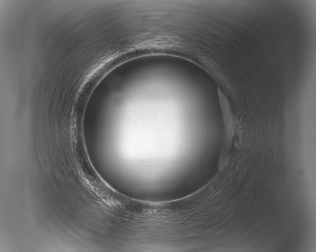 X0000086250680200703291407