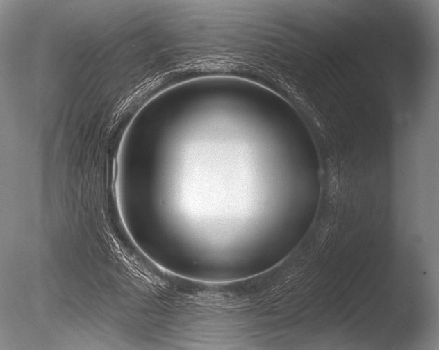 X0000086250681200703291407