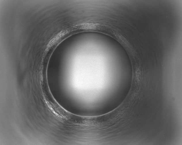 X0000086250682200703291407