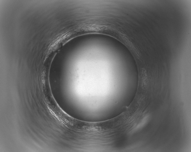 X0000086250683200703291407