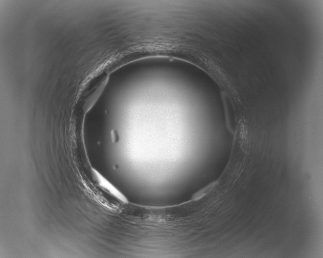 X0000086250684200703291407