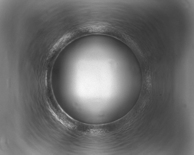 X0000086250686200703291407