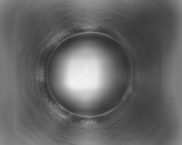 X0000086250689200703291407
