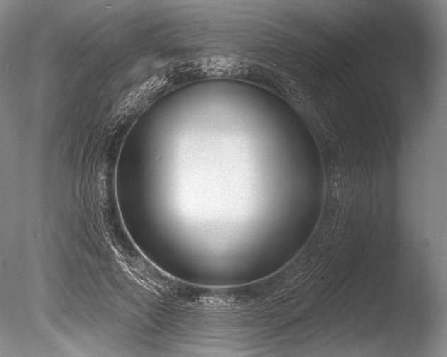 X0000086250690200703291407