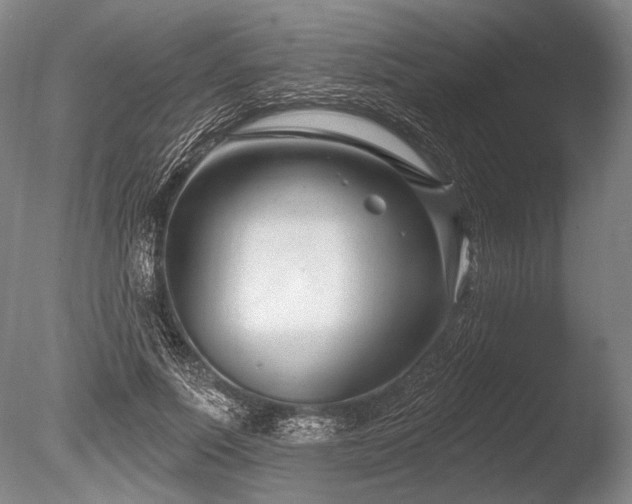 X0000086250691200703291407