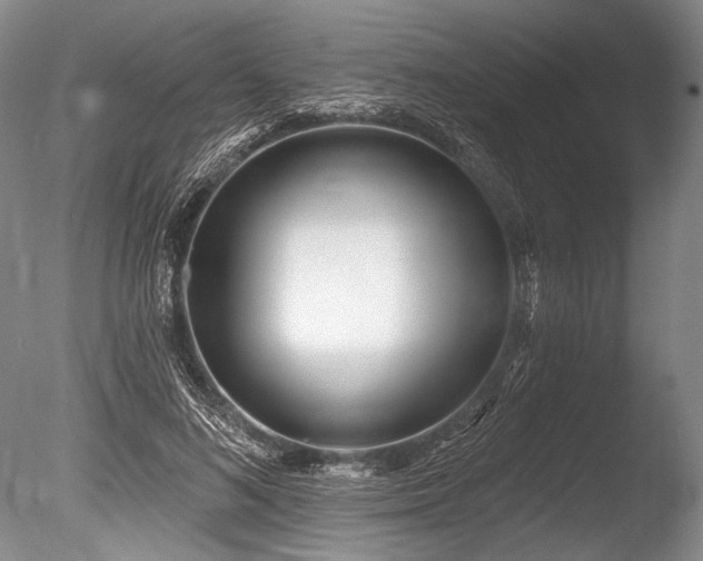 X0000086250692200703291407