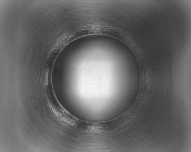 X0000086250694200703291407