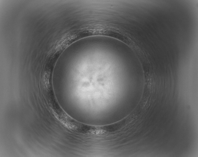 X0000086250695200703291407
