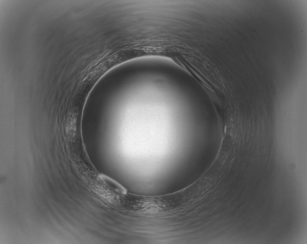 X0000086250697200703291407