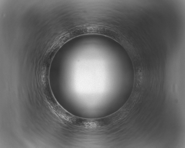 X0000086250698200703291407