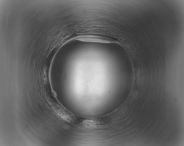 X0000086250699200703291407