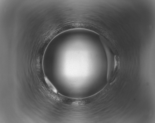 X0000086250700200703291407