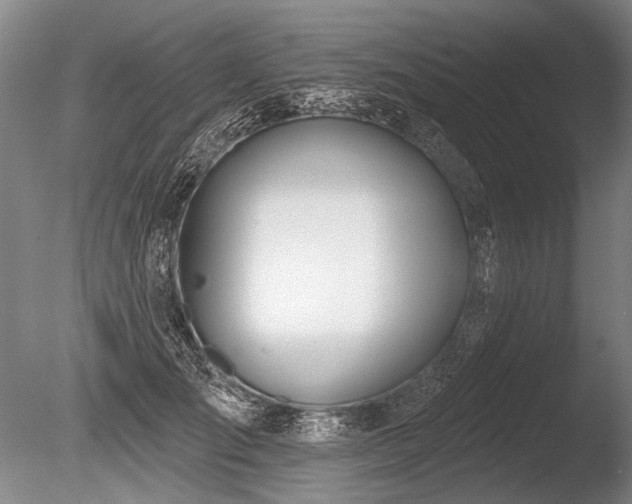 X0000086250701200703291407