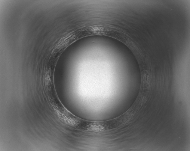 X0000086250702200703291407