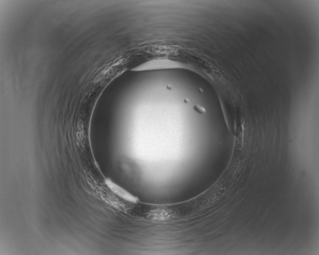 X0000086250704200703291407