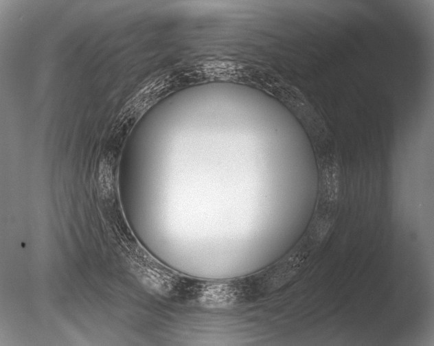 X0000086250705200703291407