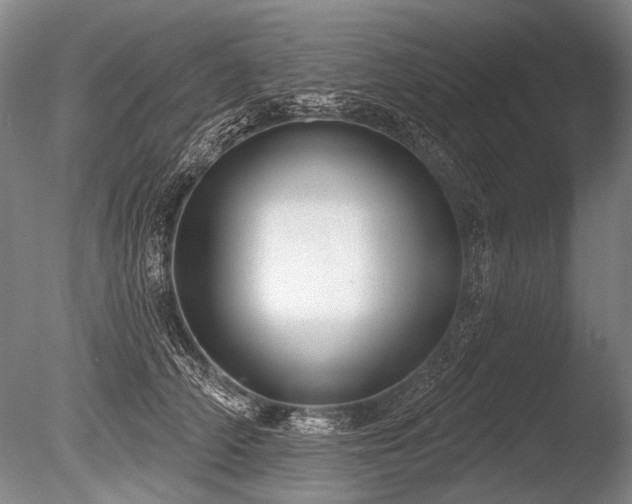 X0000086250706200703291407
