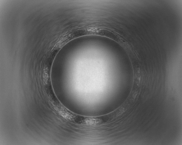 X0000086250707200703291407