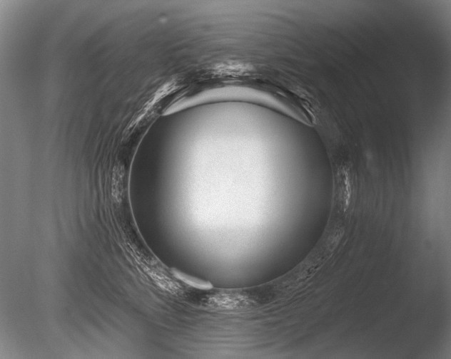 X0000086250712200703291407