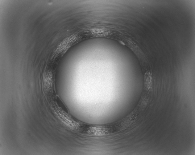 X0000086250713200703291407