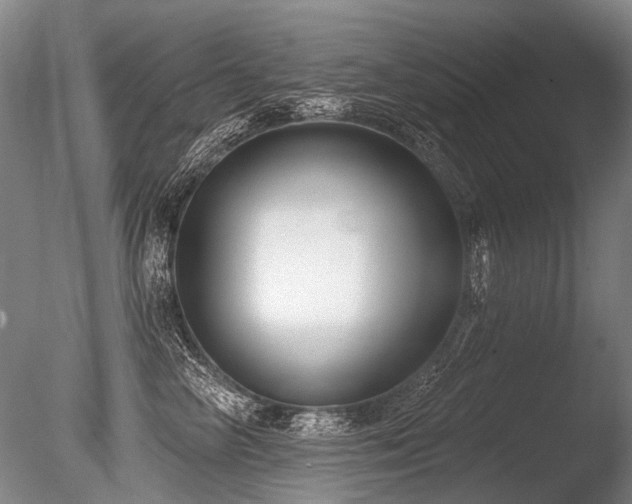 X0000086250714200703291407
