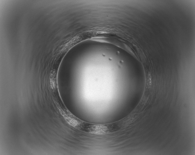 X0000086250719200703291407