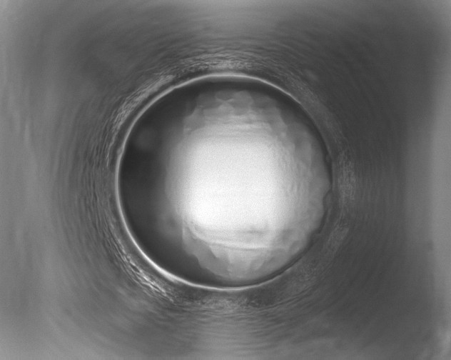 X0000086250721200703291406