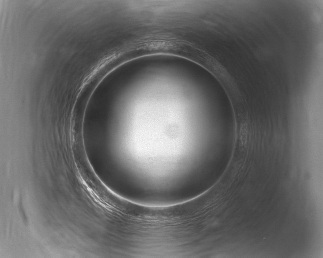 X0000086250722200703291406