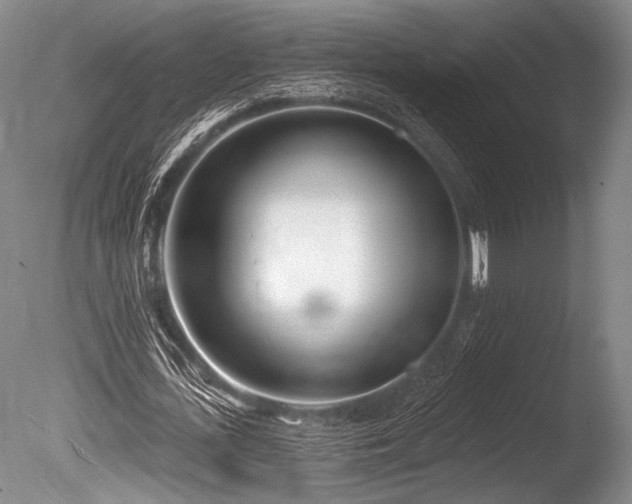 X0000086250723200703291406