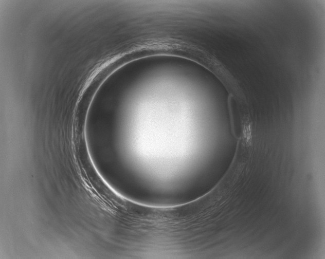 X0000086250724200703291406