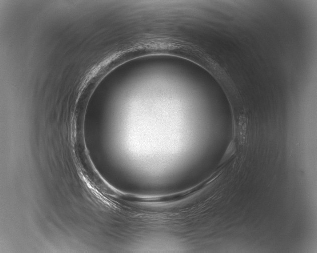 X0000086250726200703291406