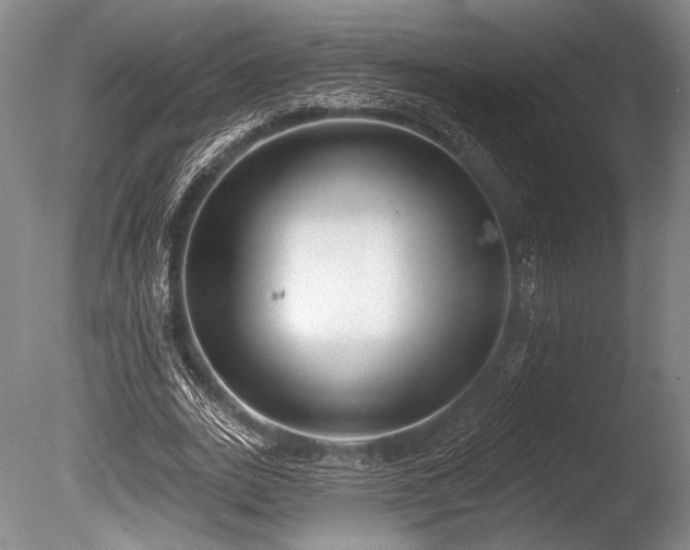X0000086250727200703291406