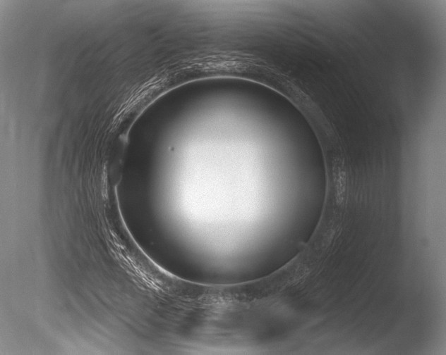 X0000086250729200703291406