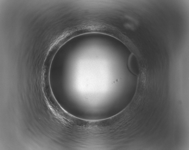 X0000086250730200703291406